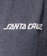 SANTA CRUZ サンタクルーズ 502232411 メンズ トップス タンクトップ ノースリーブ KK E11(BK-M)