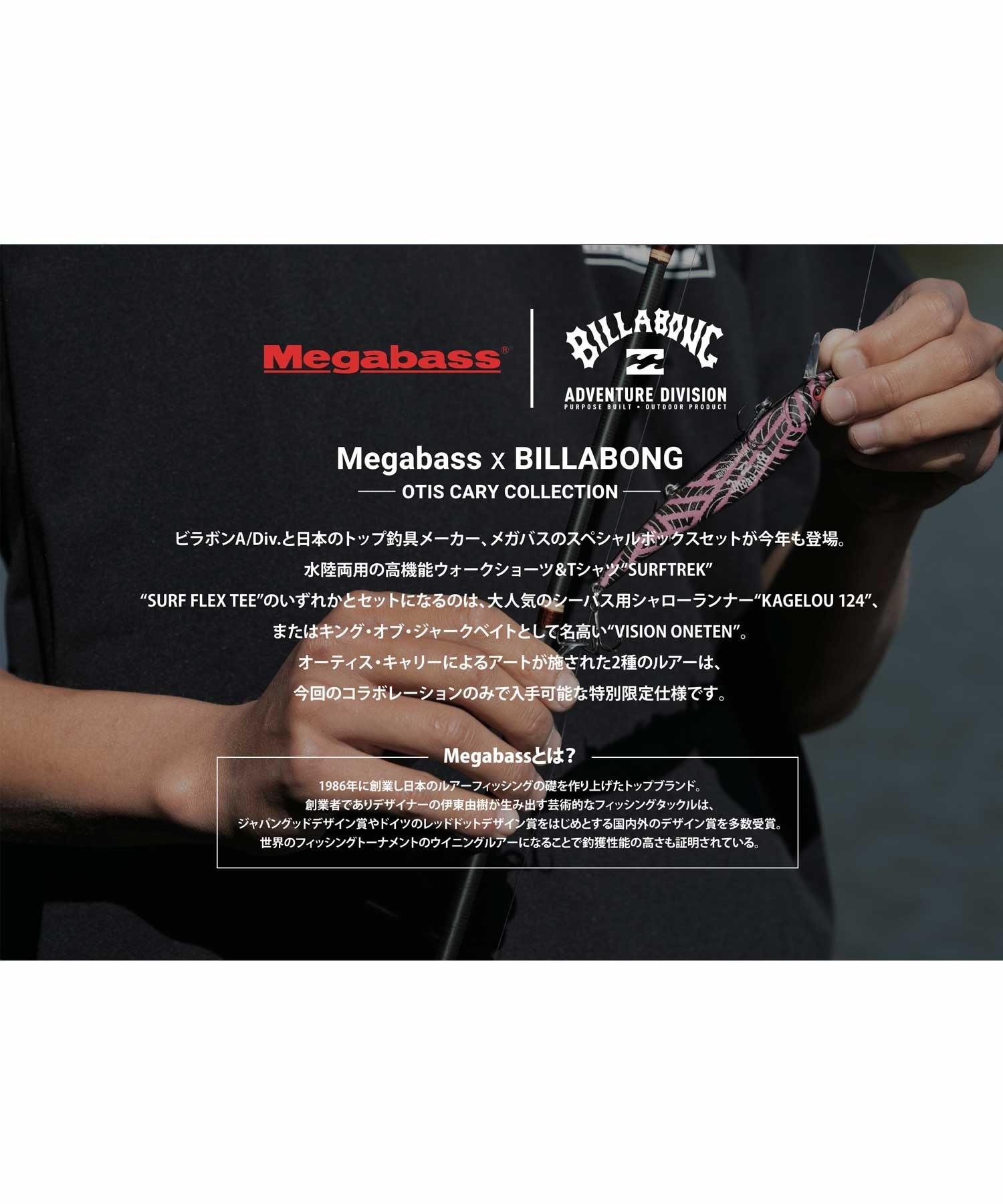 ひば 製品情報】DXA-13B ダイナワークタフ ： はしご、脚立の株式会社ピカ