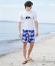 【マトメガイ対象】QUIKSILVER クイックシルバー メンズ ボードショーツ サーフトランクス レングス19 水着 AQYBS03630(RMC6-28.0inch)