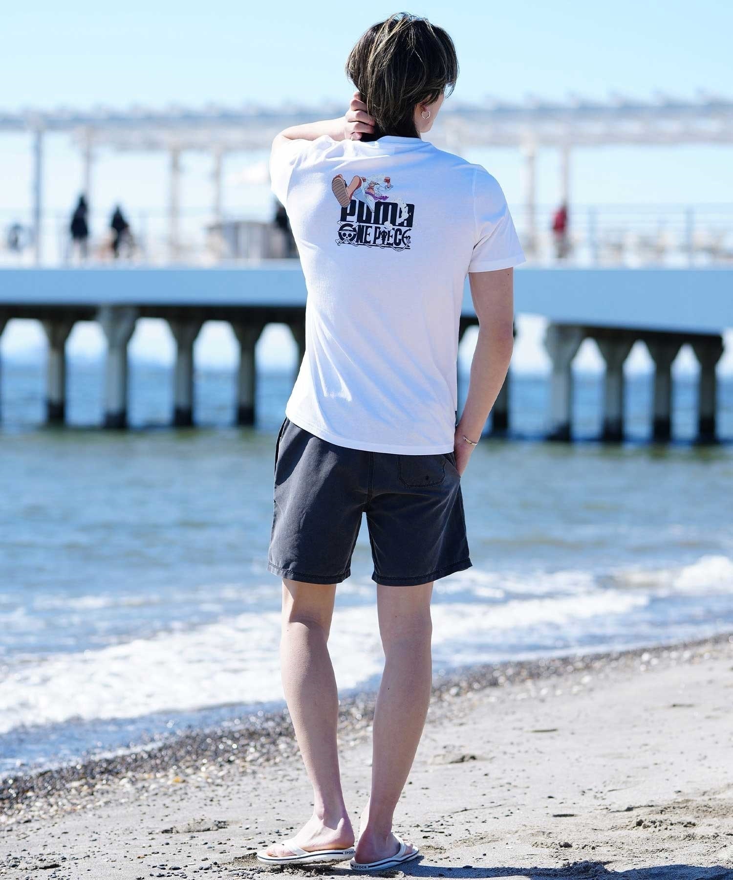Hurley ハーレー メンズ ボレーショーツ トランクス ショートパンツ 水陸両用 ユーティリティ 17インチ 速乾 MBS0012180(H010-S)