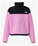 THE NORTH FACE/ザ・ノース・フェイス PULLOVER DENALI JK プルオーバーデナリジャケット レディース ジャケット ハーフジップ NAW72332(OP-L)