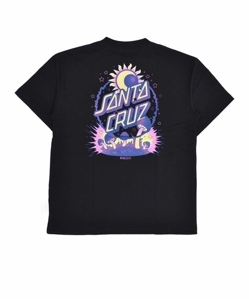 SANTA CRUZ サンタクルーズ DARK ARTS DOT S/S TEE 502231431 レディース 半袖 Tシャツ バックプリント KK1 C28(WT-M)