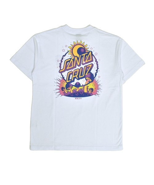 SANTA CRUZ サンタクルーズ DARK ARTS DOT S/S TEE 502231431 レディース 半袖 Tシャツ バックプリント KK1 C28(WT-M)