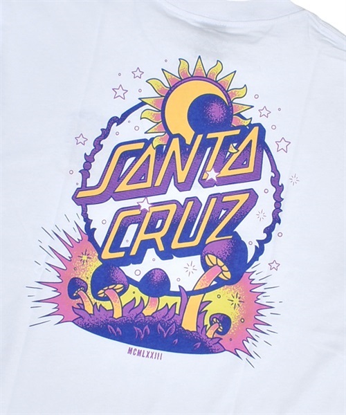 SANTA CRUZ サンタクルーズ DARK ARTS DOT S/S TEE 502231431