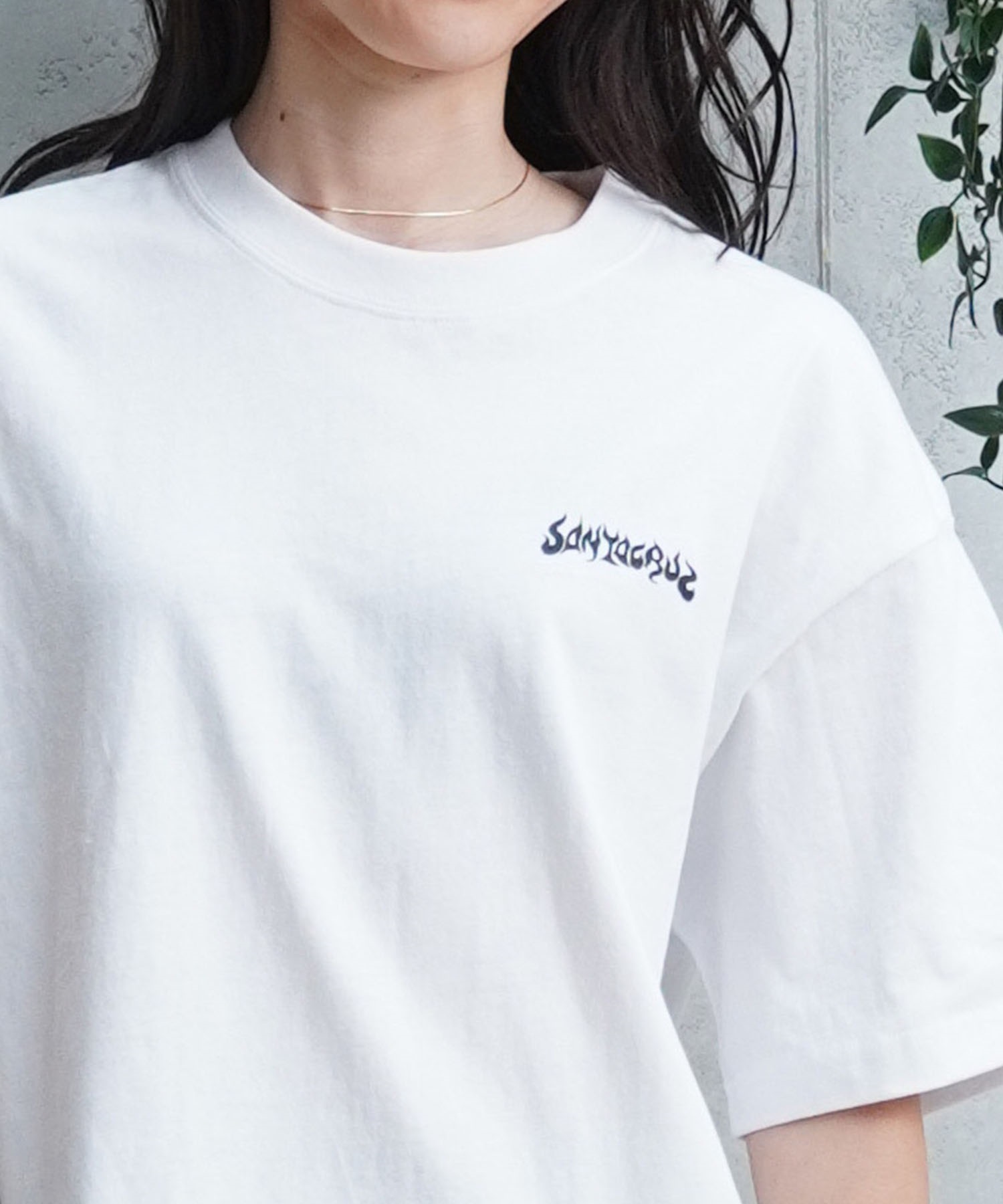 SANTACRUZ サンタクルーズ Delfino Devil Mask Tee レディース