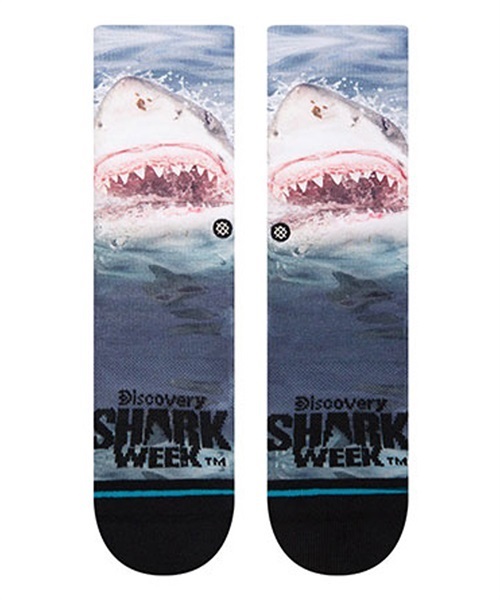 STANCE スタンス SHARK WEEK KIDS K555C22SHA キッズ ジュニア ソックス 靴下 シャークウィーク コラボ JJ L16(BLUE-L)