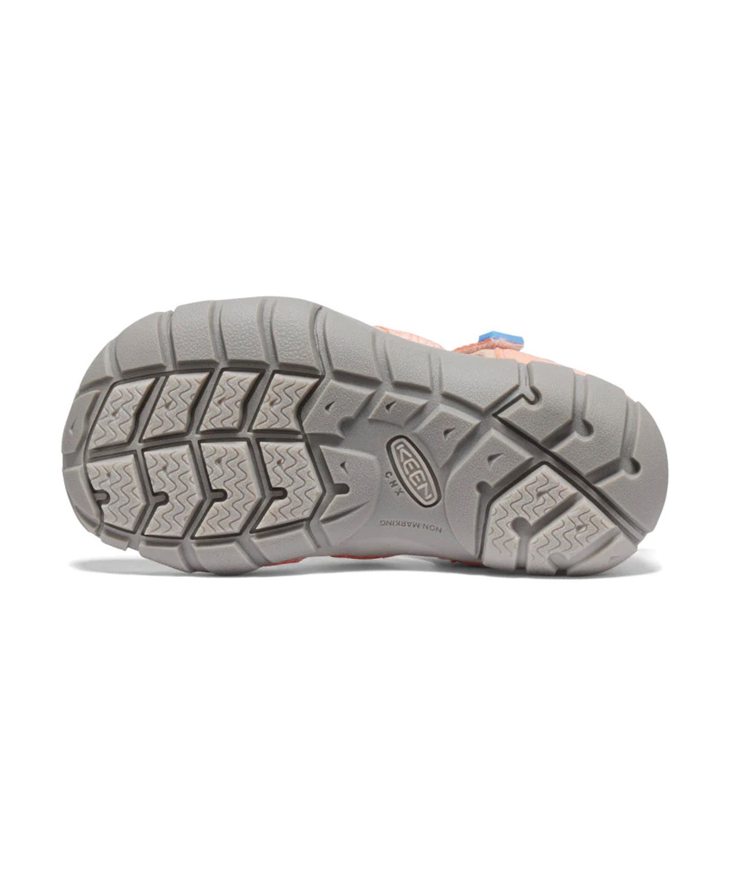 KEEN キーン SEACAMP II CNX リトルキッズ シーキャンプ ツー KEEN キーン SEACAMP II CNX リトルキッズ シーキャンプ ツー