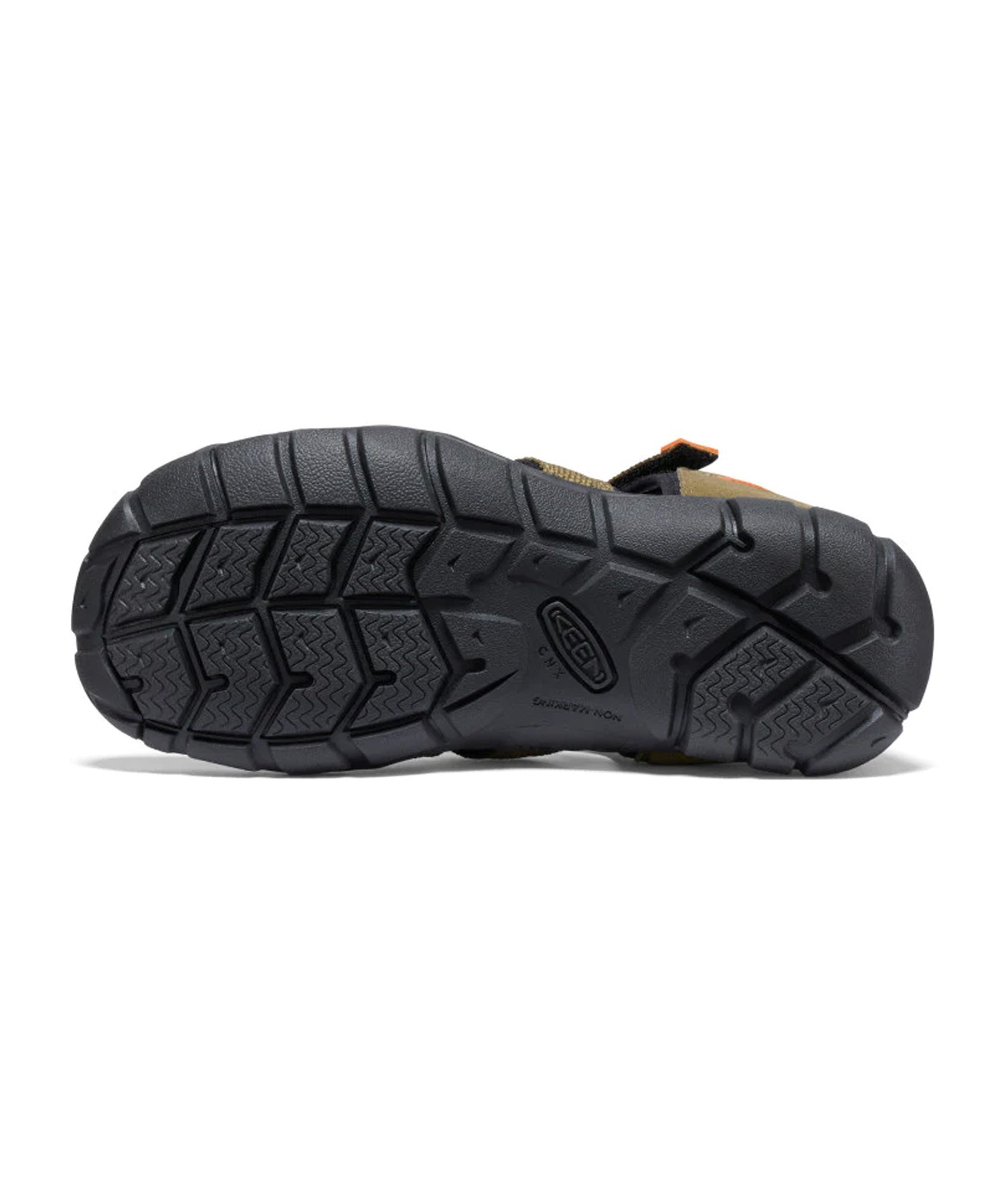 KEEN キーン SEACAMP II CNX ビッグキッズ シーキャンプ ツー