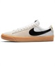 NIKE SB ナイキエスビー Zoom Blazer Low Pro GT ズーム ブレーザー ロー プロ DC7695-100 メンズ レディース シューズ スニーカー KK2 E2(WTBK-23.0cm)