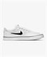 NIKE SB ナイキエスビー CHRON 2 CANVAS クロン 2 キャンバス DM3494-100 シューズ スニーカー KK2 D6(WTBK-23.0cm)