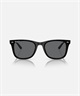 Ray-Ban レイバン サングラス 紫外線対策 UV対策 偏光レンズ ASIAN DESIGN 0RB4391D(60181-65cm)