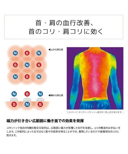 Colantotte/コラントッテ 磁気ネックレス TAO AURA mini