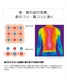 Colantotte/コラントッテ  TAO RAFFI mini ラフィミニ ABAPT52 磁気ネックレス(BKGD-M)