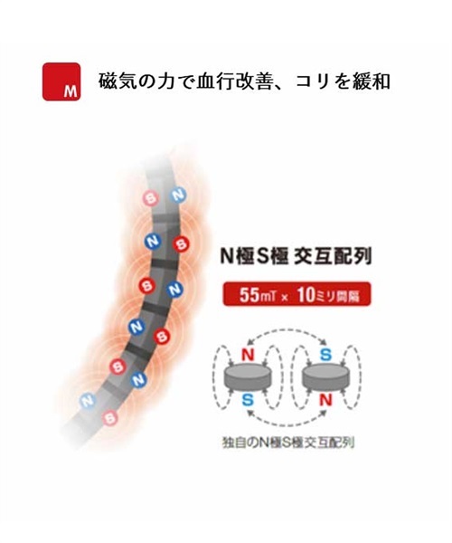 Colantotte/コラントッテ  TAO RAFFI ラフィ ABAPF 磁気ネックレス(BK-M)