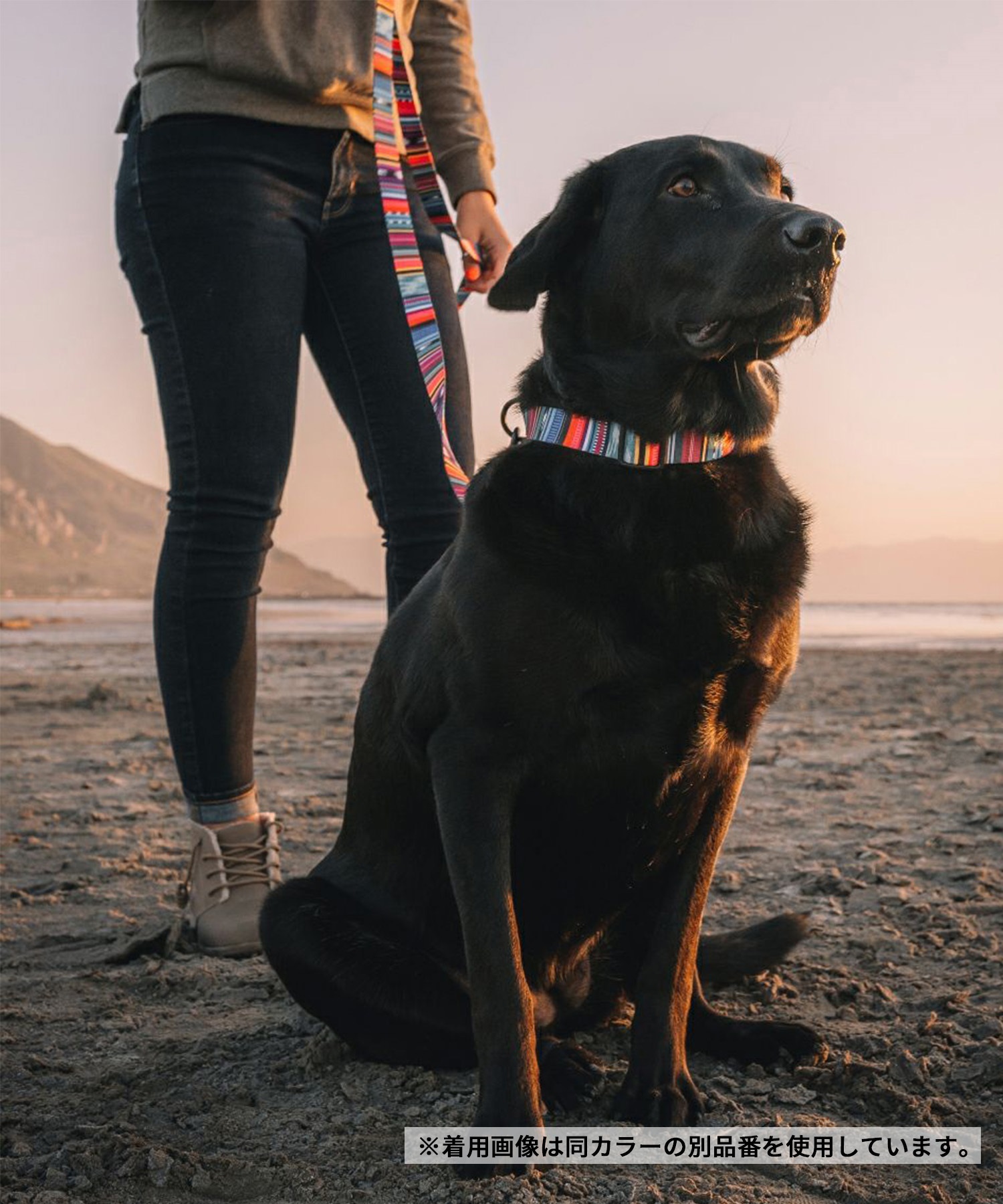 WOLFGANG ウルフギャング 犬用 首輪 Quetzal Martingale Lサイズ 中型犬用 大型犬用 ケツァール マーチンゲール ハーフチョーク マルチカラー WM-503-07(MULTI-L)