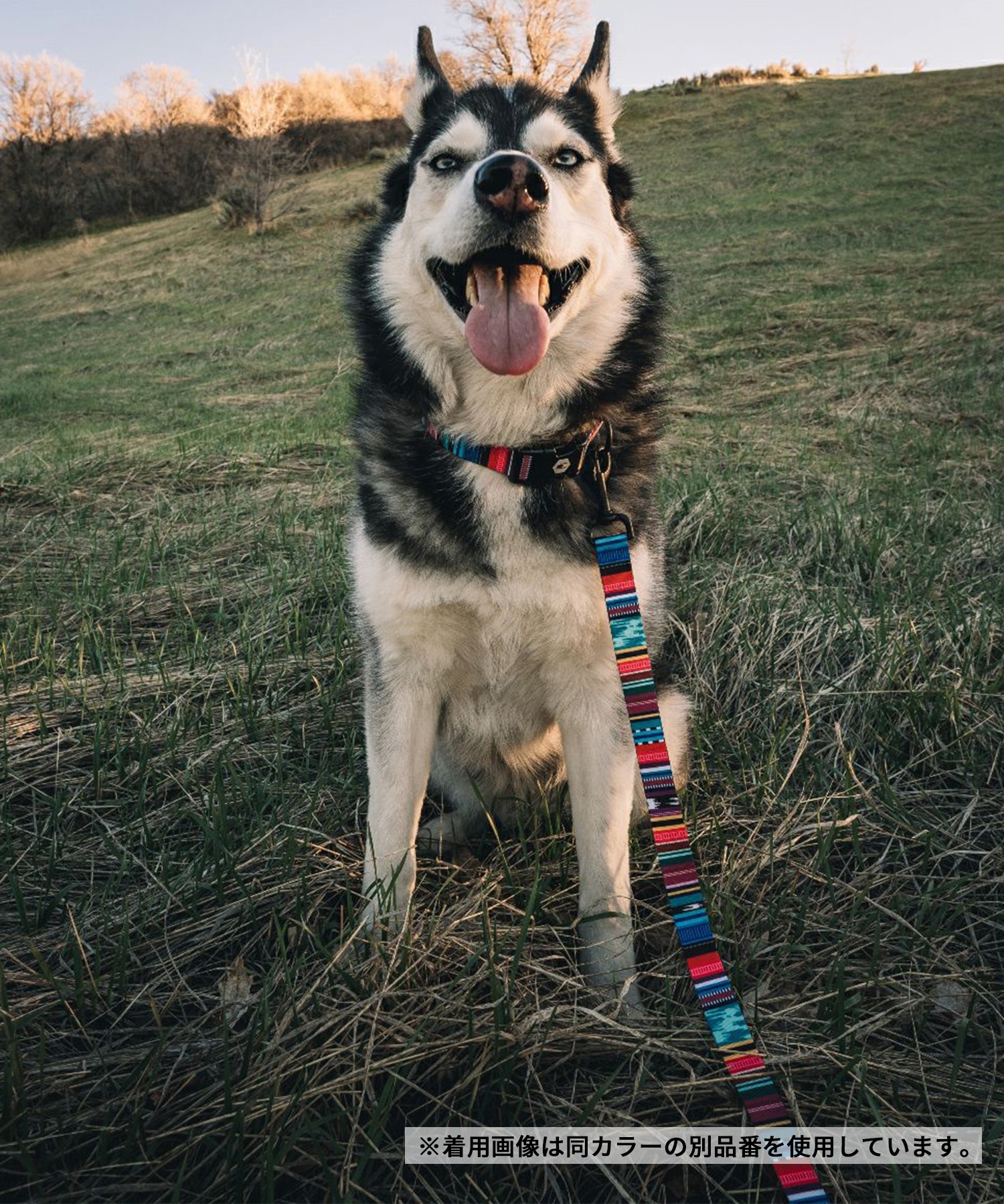 WOLFGANG ウルフギャング 犬用 首輪 Quetzal Martingale Lサイズ 中型犬用 大型犬用 ケツァール マーチンゲール ハーフチョーク マルチカラー WM-503-07(MULTI-L)