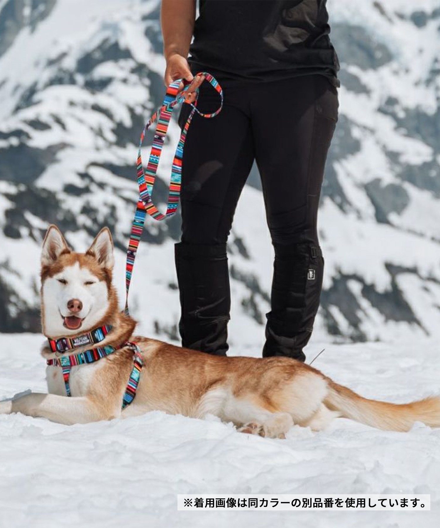 WOLFGANG ウルフギャング 犬用 首輪 Quetzal Martingale Lサイズ 中型犬用 大型犬用 ケツァール マーチンゲール ハーフチョーク マルチカラー WM-503-07(MULTI-L)