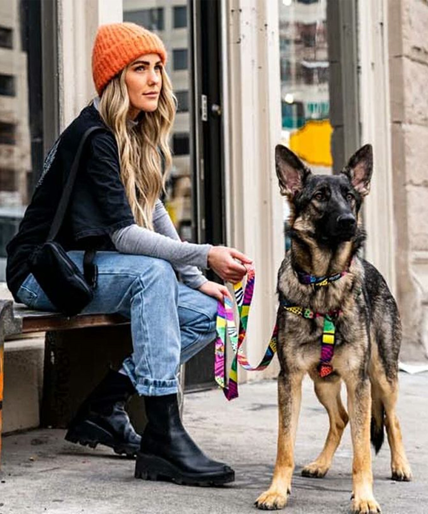 WOLFGANG ウルフギャング 犬用 首輪 RetroFit COLLAR Lサイズ 中型犬用