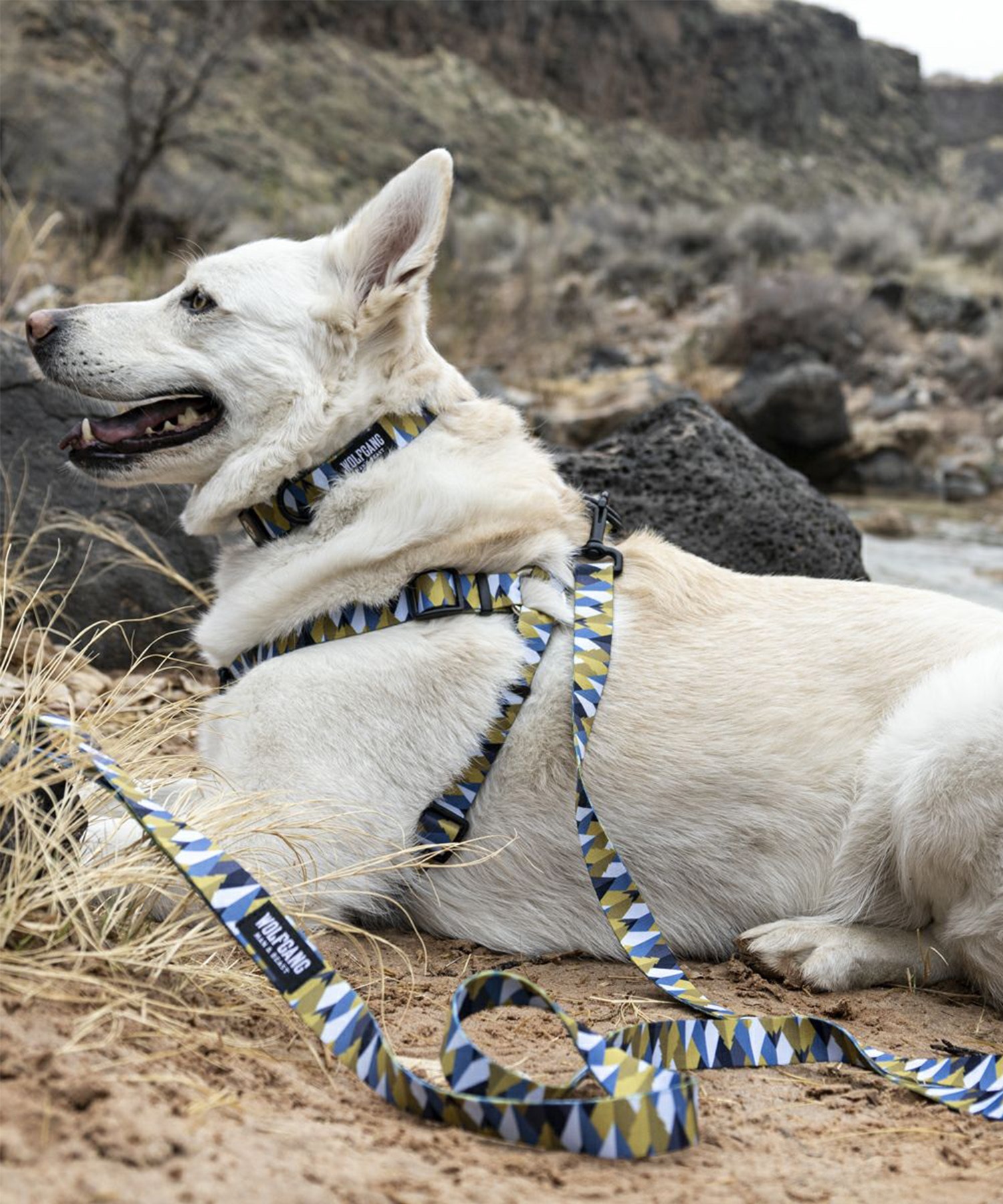 WOLFGANG ウルフギャング 犬用 ハーネス GrandView HARNESS Lサイズ 中型犬用 大型犬用 胴輪 グランドビュー マルチカラー WH-003-02(MULTI-L)