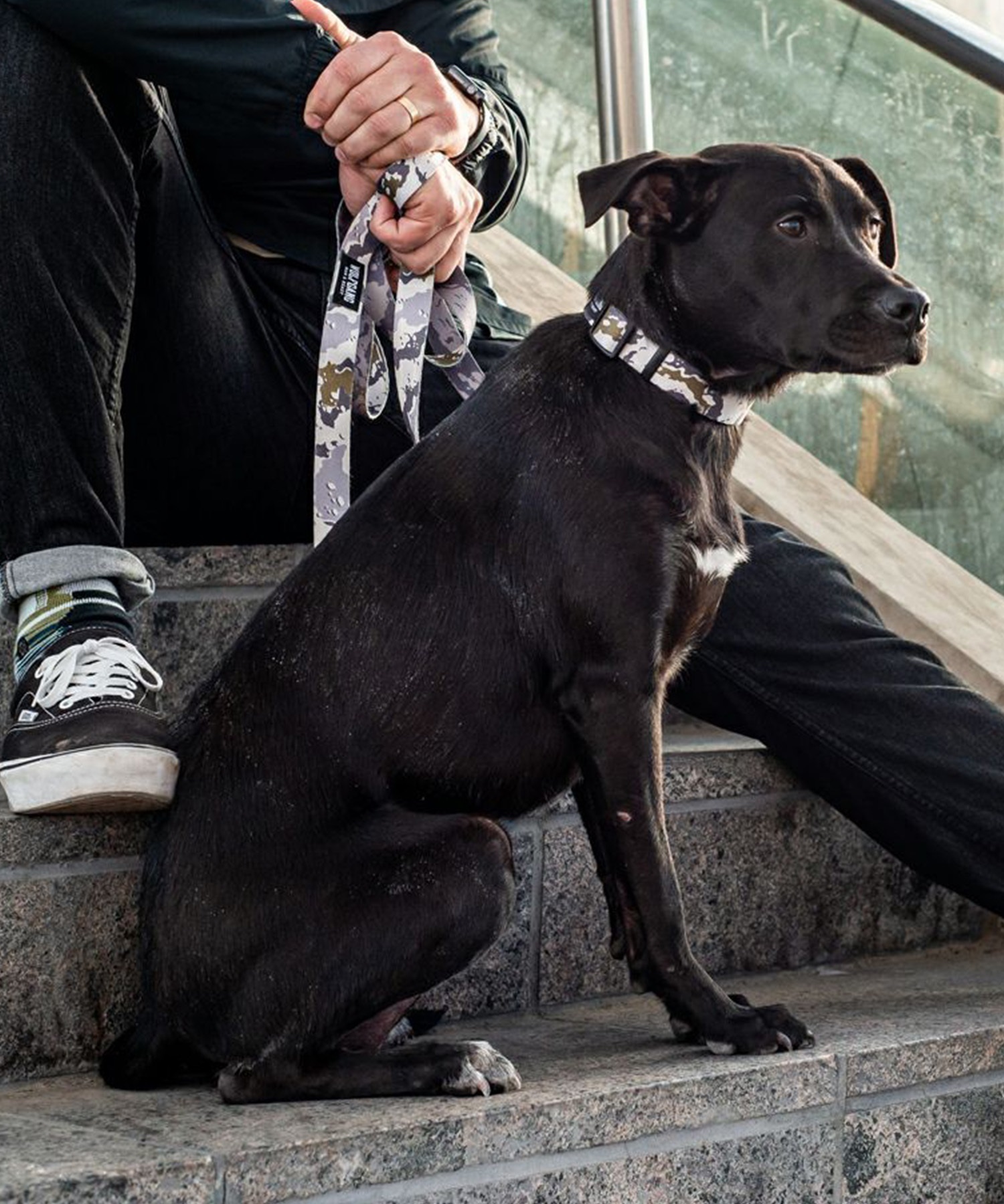 WOLFGANG ウルフギャング 犬用 首輪 HideOut Collar Lサイズ 中型犬用 大型犬用 ハイドアウト カラー 迷彩柄 グレー系 WC-003-74(CAMO-L)