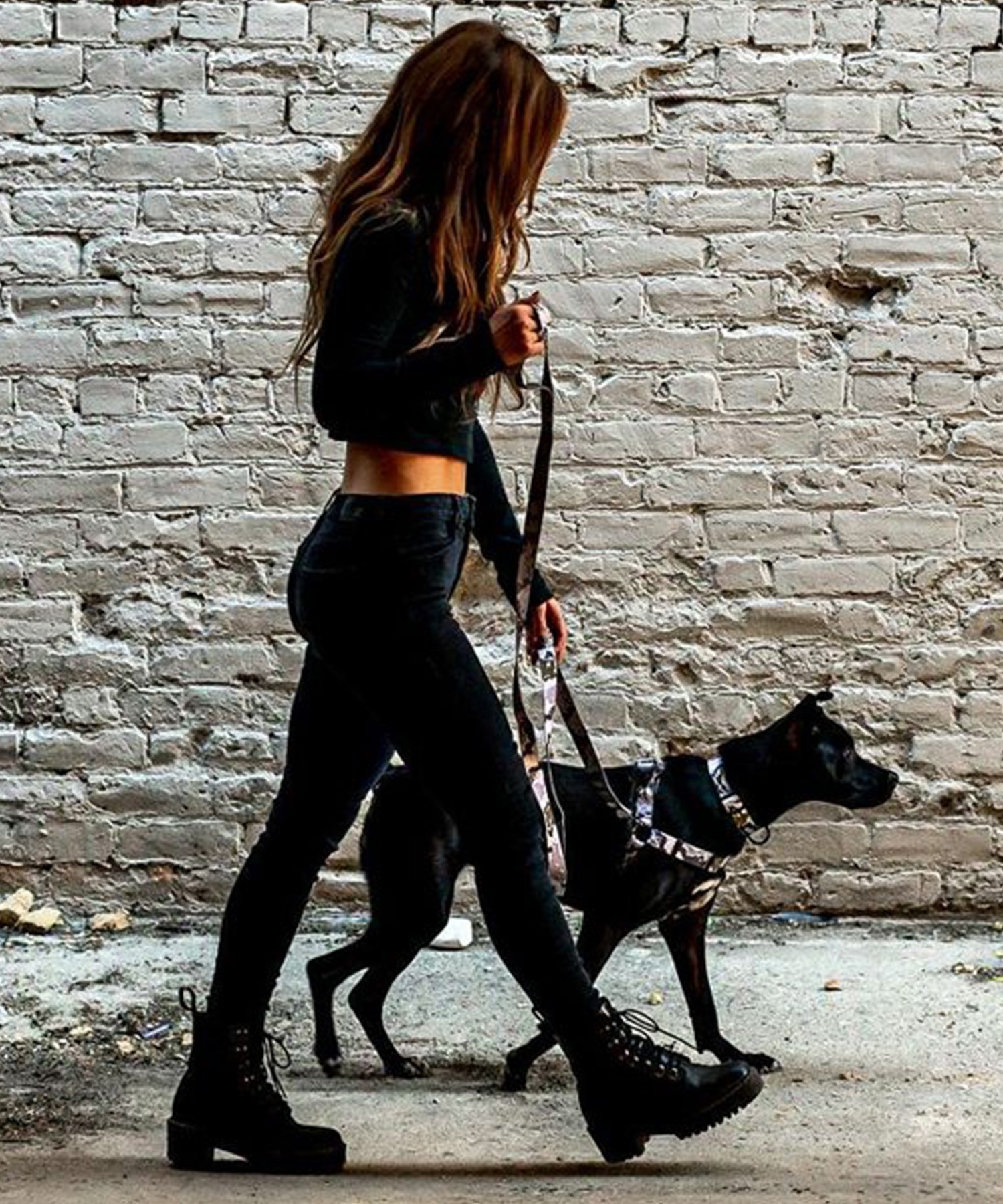WOLFGANG ウルフギャング 犬用 首輪 HideOut Collar Lサイズ 中型犬用 大型犬用 ハイドアウト カラー 迷彩柄 グレー系 WC-003-74(CAMO-L)