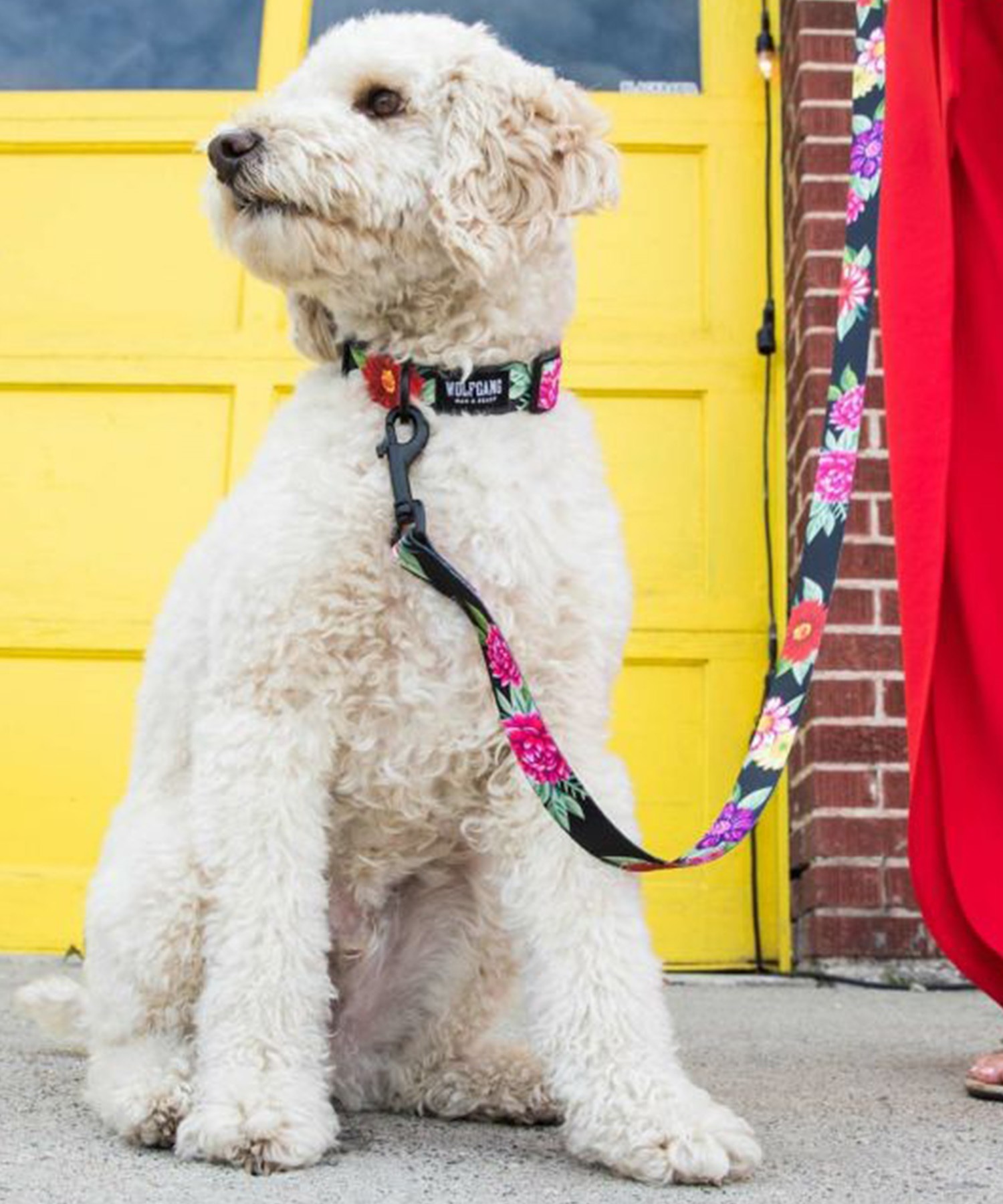 WOLFGANG ウルフギャング 犬用 首輪 DarkFloral COLLAR Lサイズ 中型犬用 大型犬用 ダークフローラル カラー 花柄 ブラック WC-003-00(BK-L)