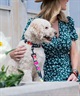 WOLFGANG ウルフギャング 犬用 首輪 DarkFloral COLLAR Lサイズ 中型犬用 大型犬用 ダークフローラル カラー 花柄 ブラック WC-003-00(BK-L)