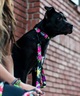 WOLFGANG ウルフギャング 犬用 首輪 DarkFloral COLLAR Lサイズ 中型犬用 大型犬用 ダークフローラル カラー 花柄 ブラック WC-003-00(BK-L)