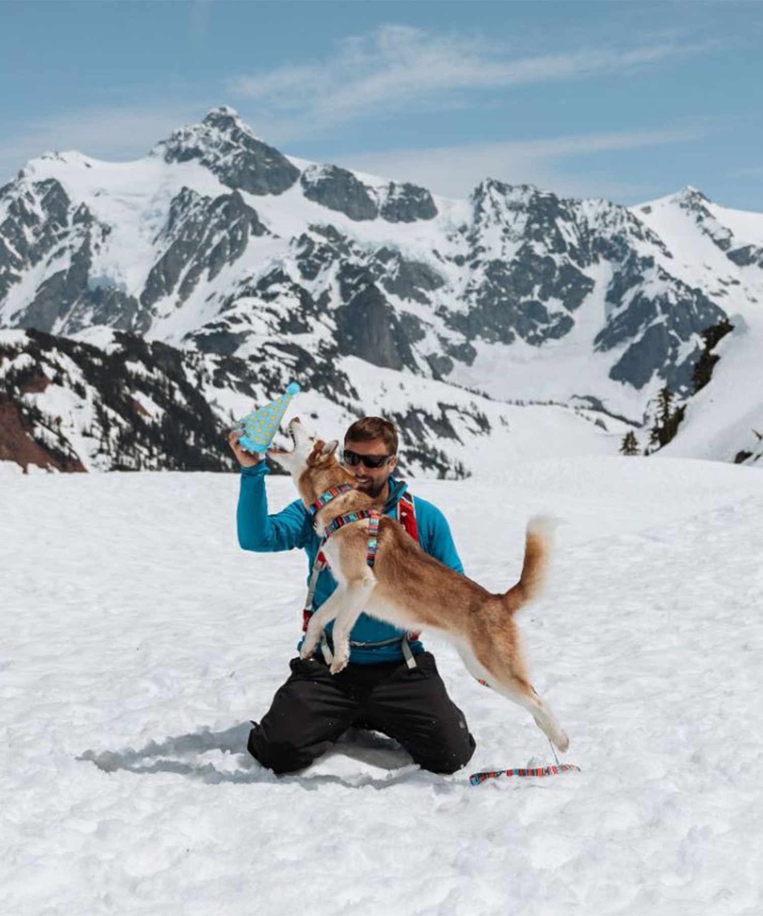 WOLFGANG ウルフギャング 犬用 首輪 Quetzal COLLAR Sサイズ 超小型犬用 小型犬用 ケツァール カラー マルチカラー WC-001-07(MULTI-S)