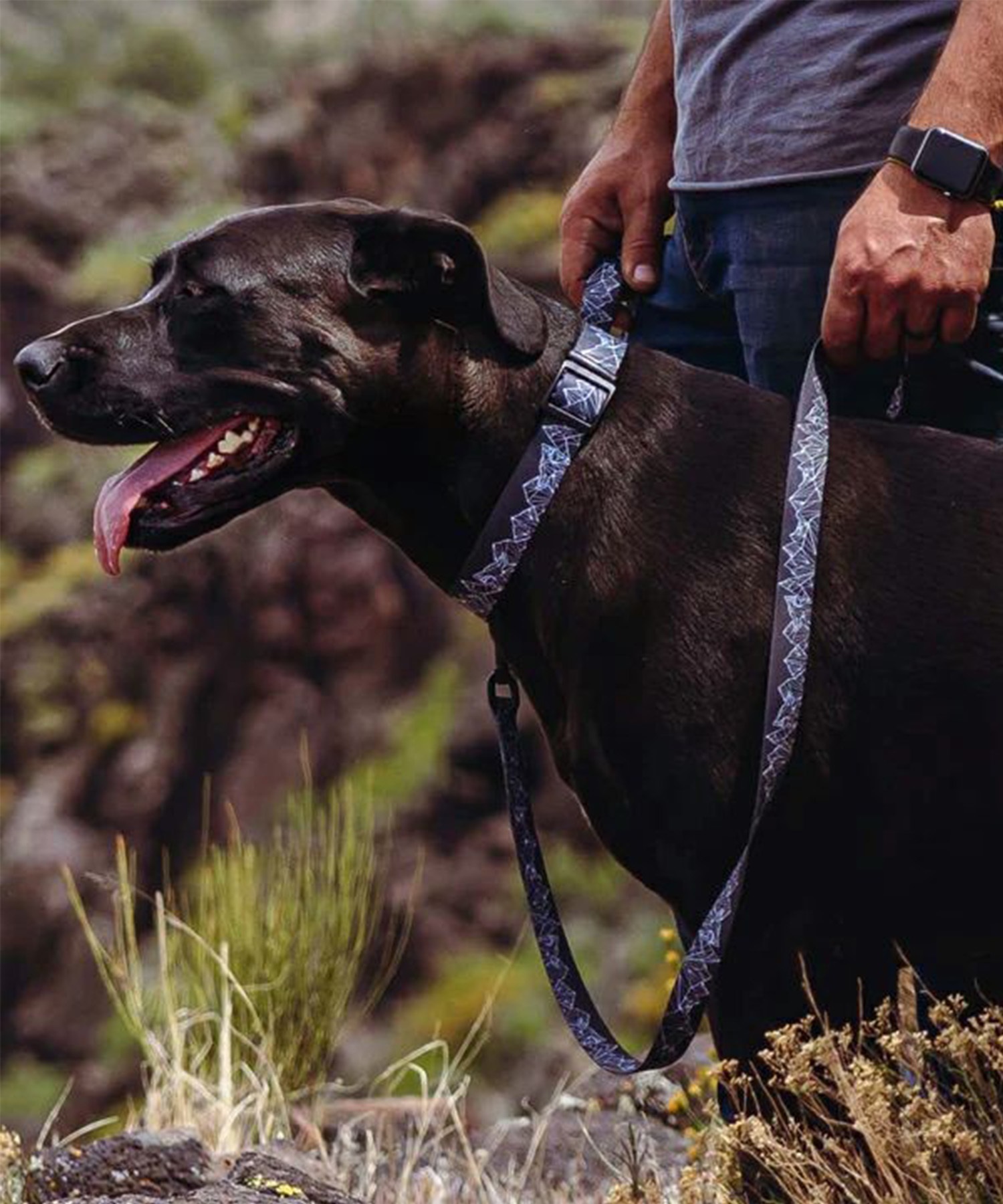 WOLFGANG ウルフギャング 犬用 首輪 WolfMountain Collar Sサイズ 超小型犬用 小型犬用 ウルフマウンテン カラー グレー系 WC-001-83(GY-S)