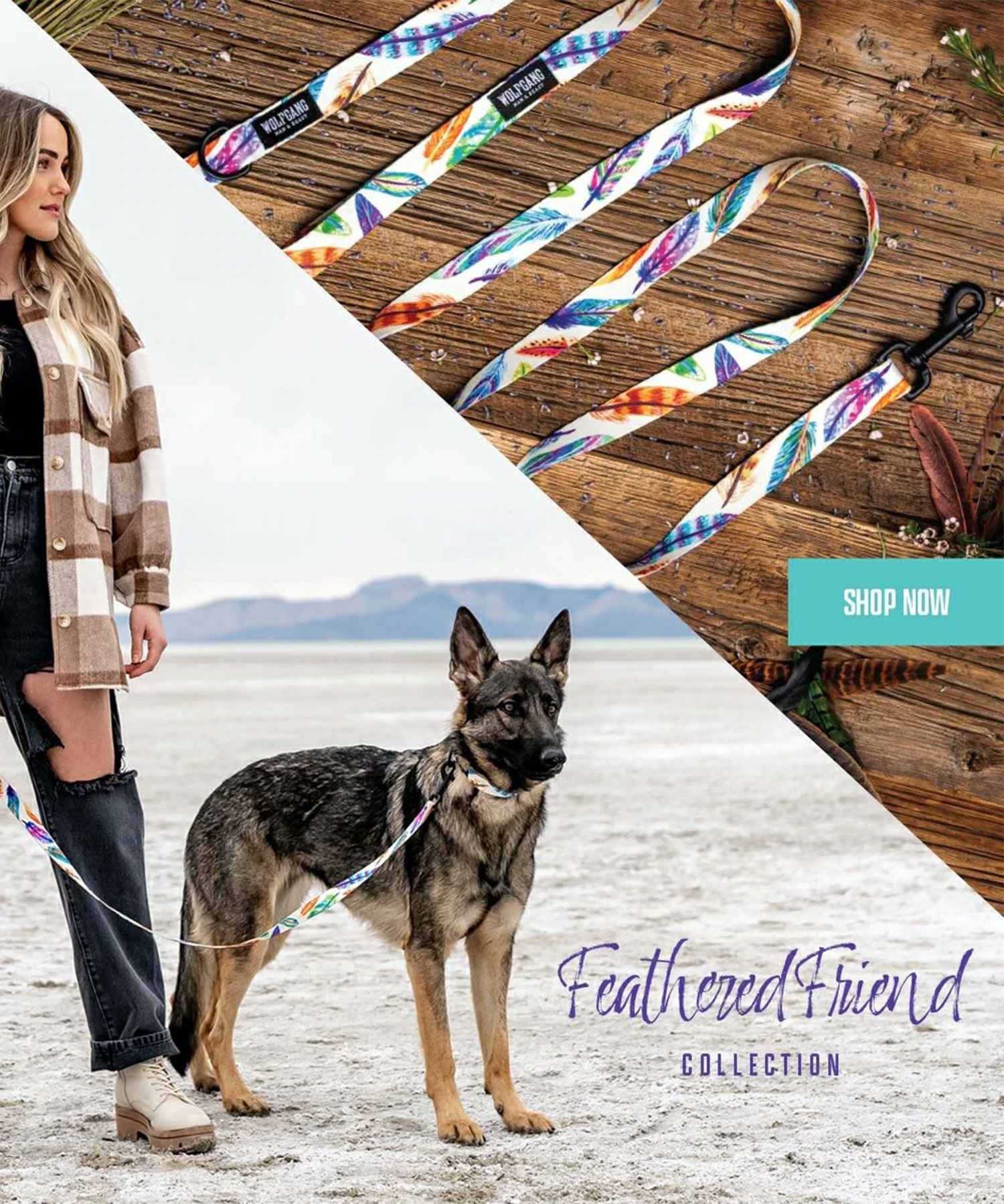 WOLFGANG/ウルフギャング 犬用 首輪 FeatheredFriend Collar Lサイズ WC-003-85(WT-L)