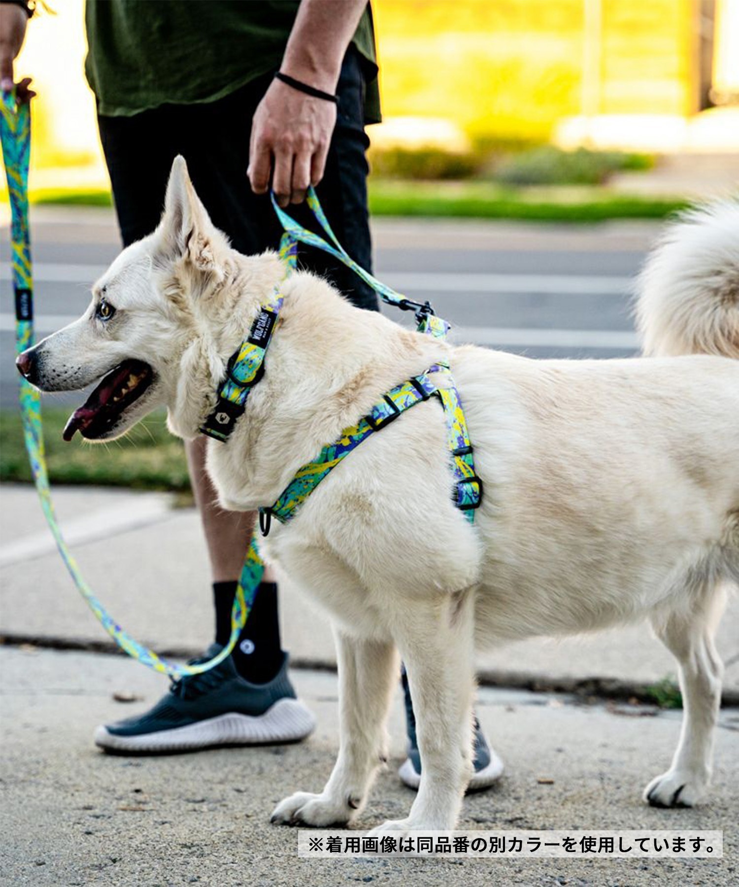 WOLFGANG ウルフギャング 犬用 ハーネス WolfMountain Harness Mサイズ 小型犬用 中型犬用 胴輪 ウルフマウンテン グレー系 WH-002-83(GY-M)