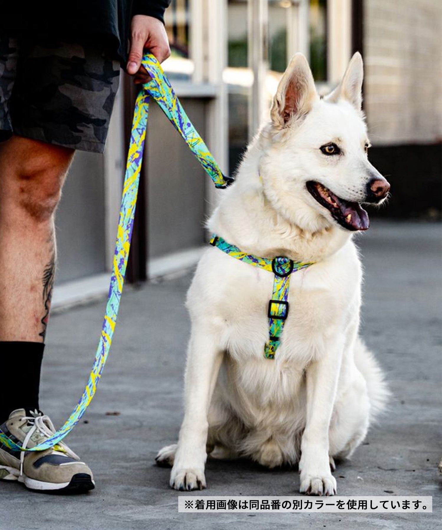 WOLFGANG ウルフギャング 犬用 ハーネス WolfMountain Harness Lサイズ 中型犬用 大型犬用 胴輪 ウルフマウンテン グレー系 WH-003-83(GY-L)