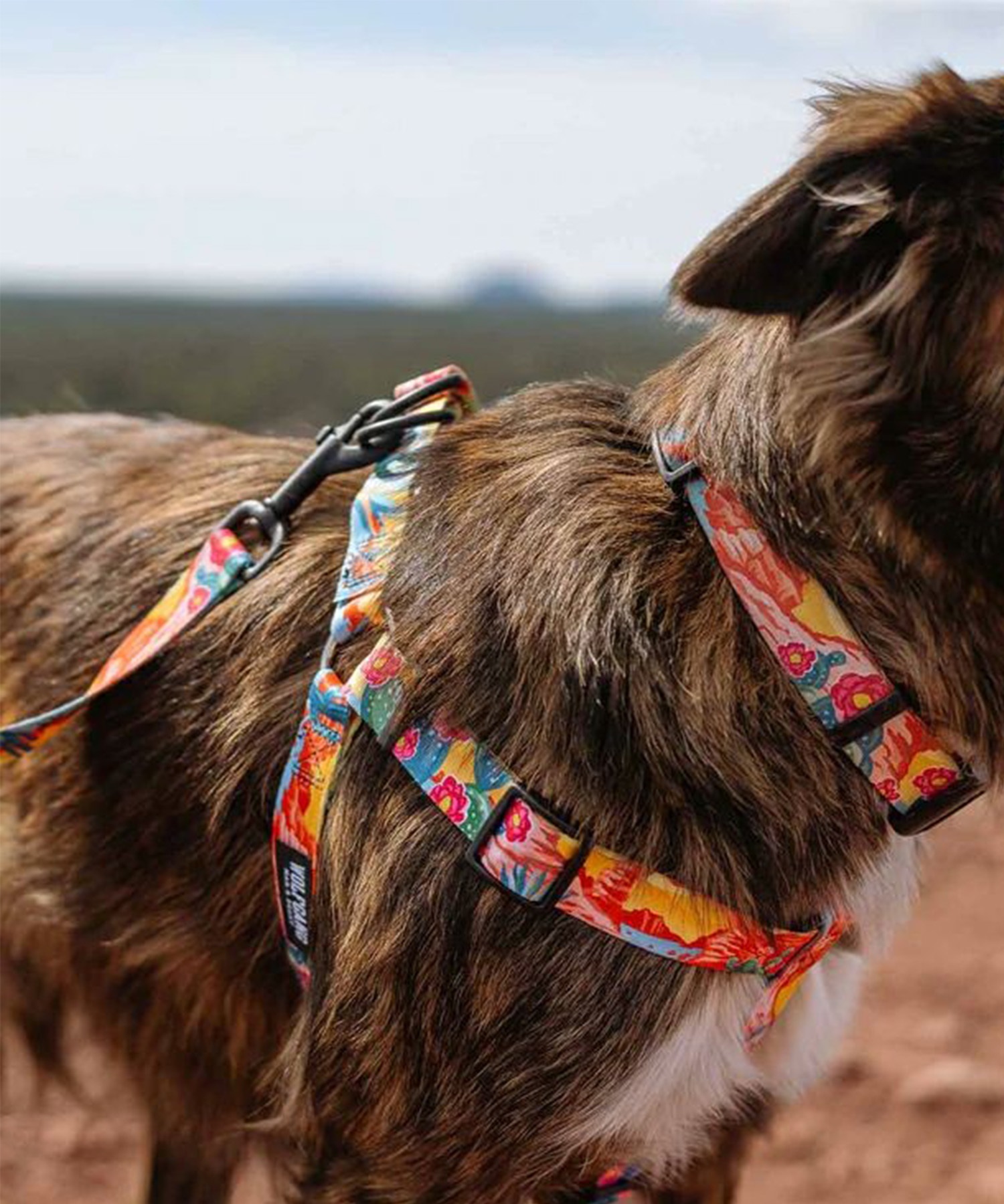 WOLFGANG/ウルフギャング 犬用 リードPackLeader Leash Sサイズ WOLFGANG/ウルフギャング 犬用 リードPackLeader Leash Sサイズ