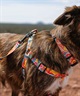 WOLFGANG/ウルフギャング 犬用 リードPackLeader Leash Sサイズ WL-001-84(YE-S)