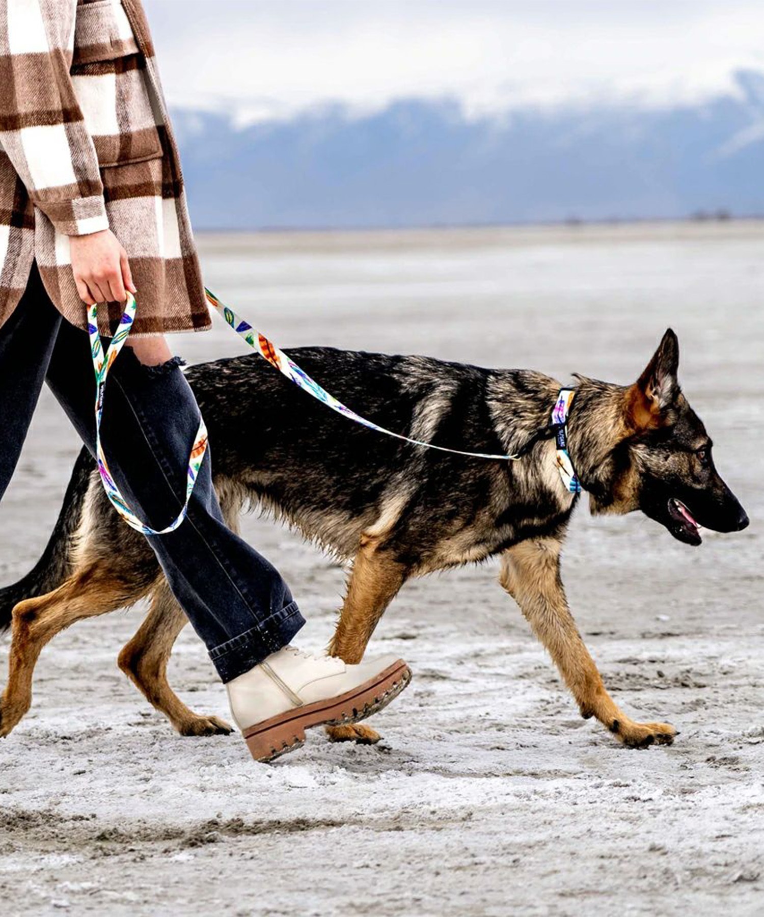 WOLFGANG/ウルフギャング 犬用 リード FeatheredFriend Leash Sサイズ