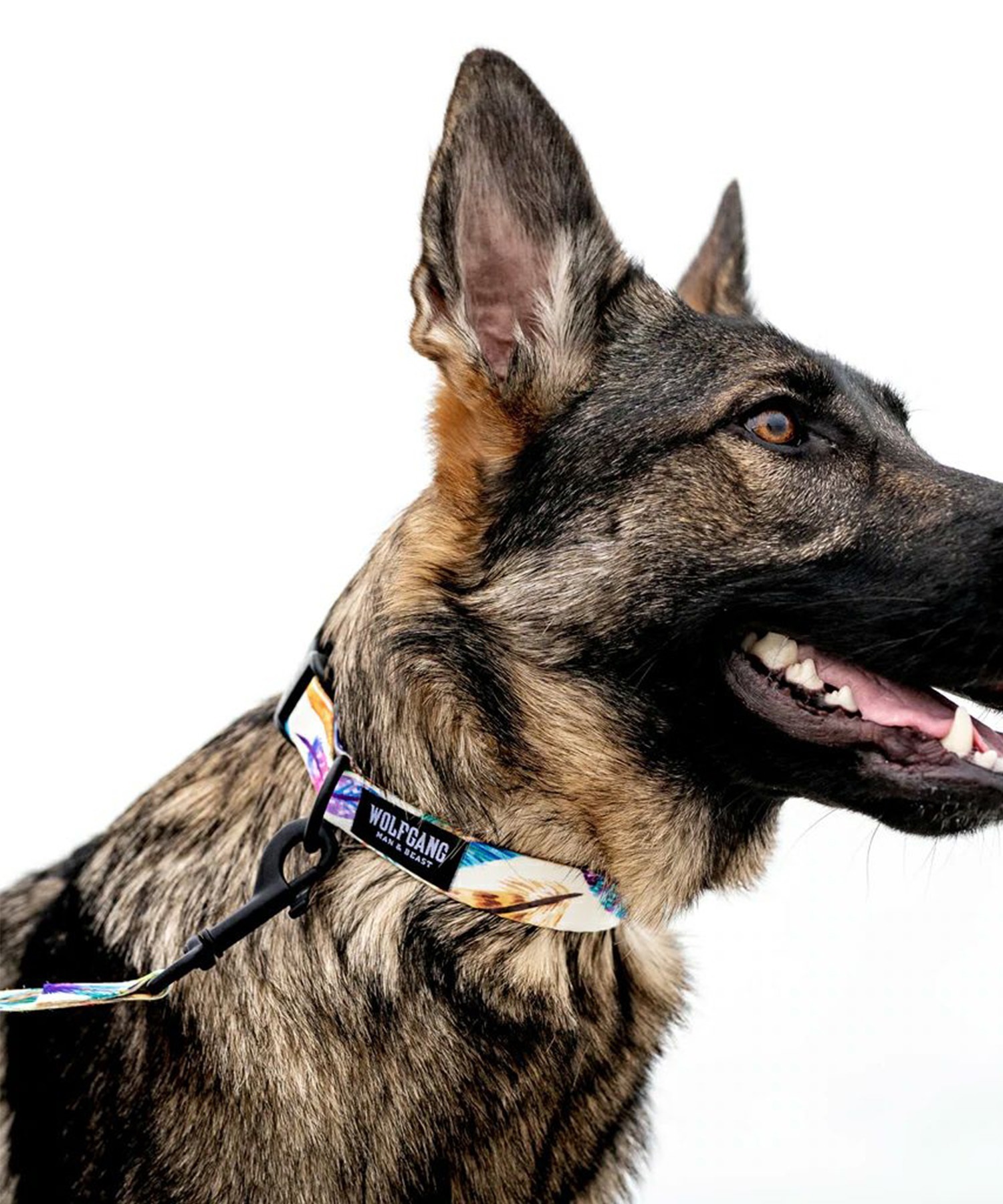 WOLFGANG/ウルフギャング 犬用 リード FeatheredFriend Leash Sサイズ