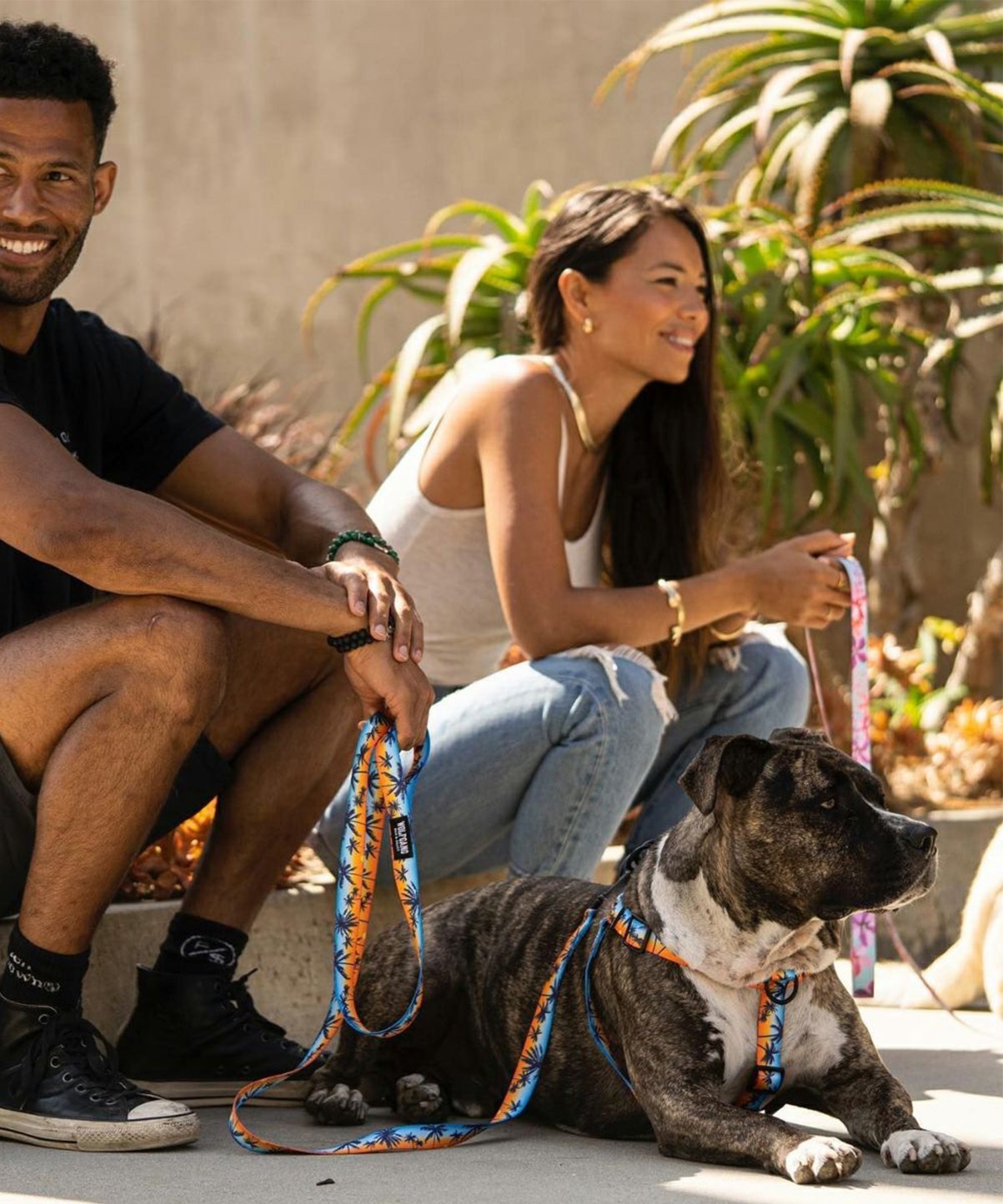 WOLFGANG ウルフギャング 犬用 リード SunsetPalms Leash Sサイズ 小型犬用 サンセットパームス リーシュ ブルー×オレンジ WL-001-86(BL-S)