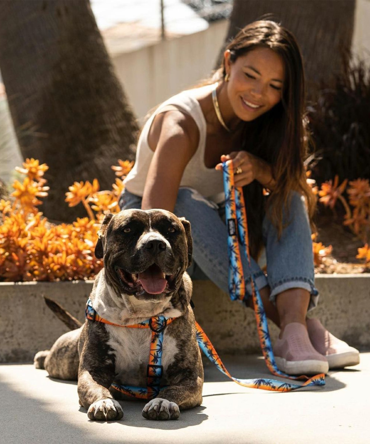 WOLFGANG ウルフギャング 犬用 リード SunsetPalms Leash Sサイズ 小型犬用 サンセットパームス リーシュ ブルー×オレンジ WL-001-86(BL-S)