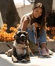 WOLFGANG ウルフギャング 犬用 リード SunsetPalms Leash Sサイズ 小型犬用 サンセットパームス リーシュ ブルー×オレンジ WL-001-86(BL-S)