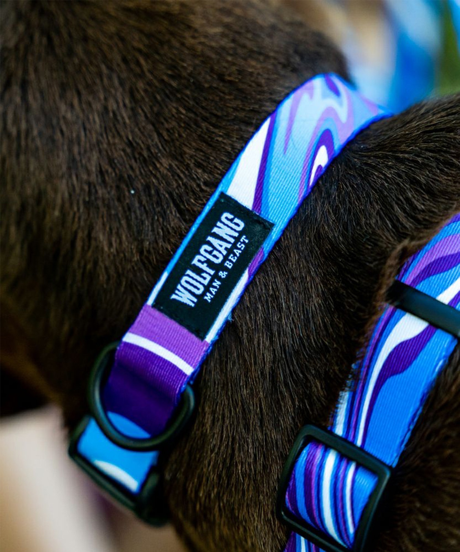 WOLFGANG ウルフギャング 犬用 首輪 MarbleWave Collar Mサイズ 小型犬用 中型犬用 マーブルウェイブ カラー ブルー系 WC-002-102(PU-M)
