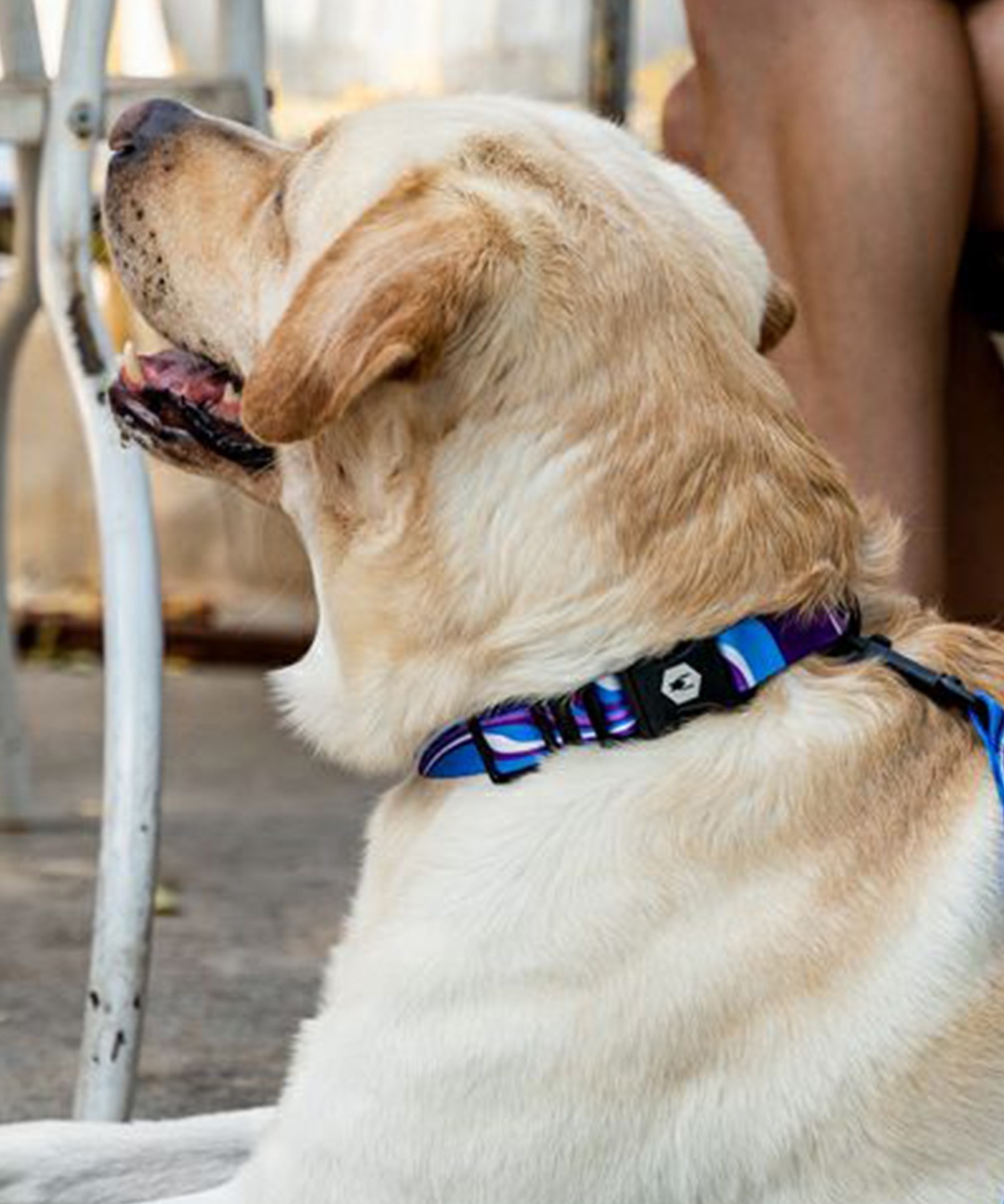 WOLFGANG ウルフギャング 犬用 首輪 MarbleWave Collar Mサイズ 小型犬用 中型犬用 マーブルウェイブ カラー ブルー系 WC-002-102(PU-M)