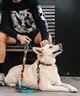 WOLFGANG ウルフギャング 犬用 首輪 ShatterShapes Collar Mサイズ 小型犬用 中型犬用 シャッターシェイプス カラー マルチカラー WC-002-105(MULTI-M)