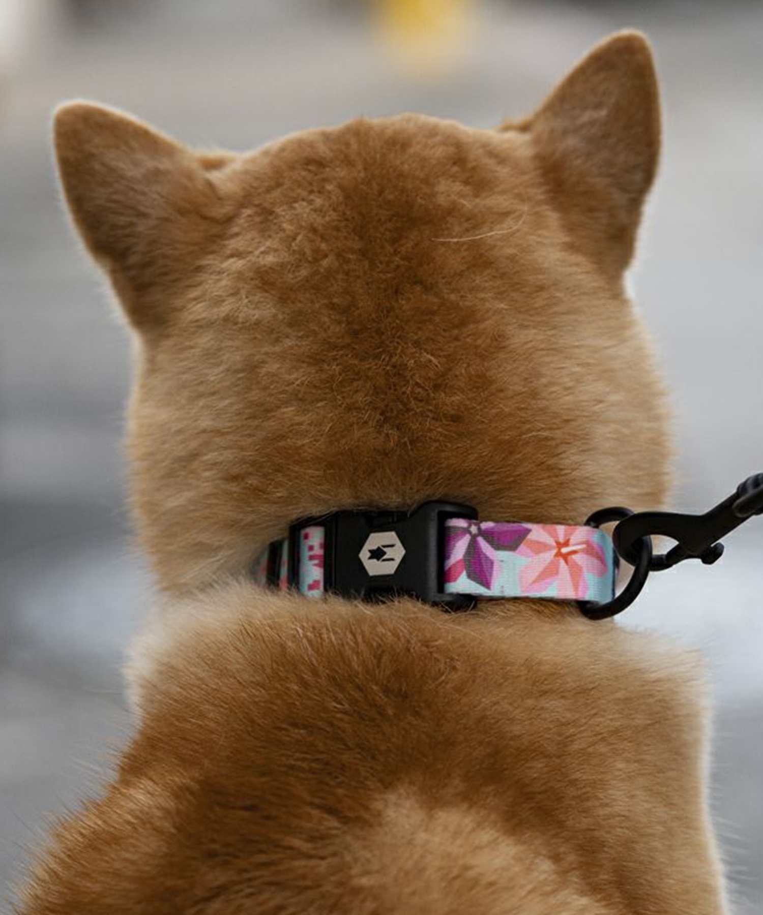 WOLFGANG ウルフギャング 犬用 首輪 DigiFloral Collar Mサイズ 小型犬用 中型犬用 デジフローラル カラー ピンク系 WC-002-96(PK-M)