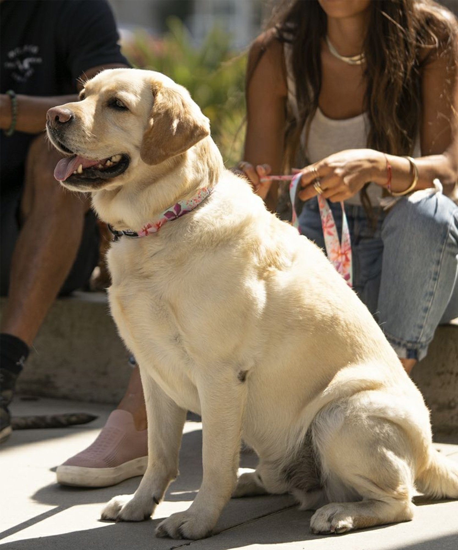 ラウラ・フューメ　シルクスクリーン　　“犬の王子様“ ラウラ・フューメシルクスクリーン“犬の王子様“