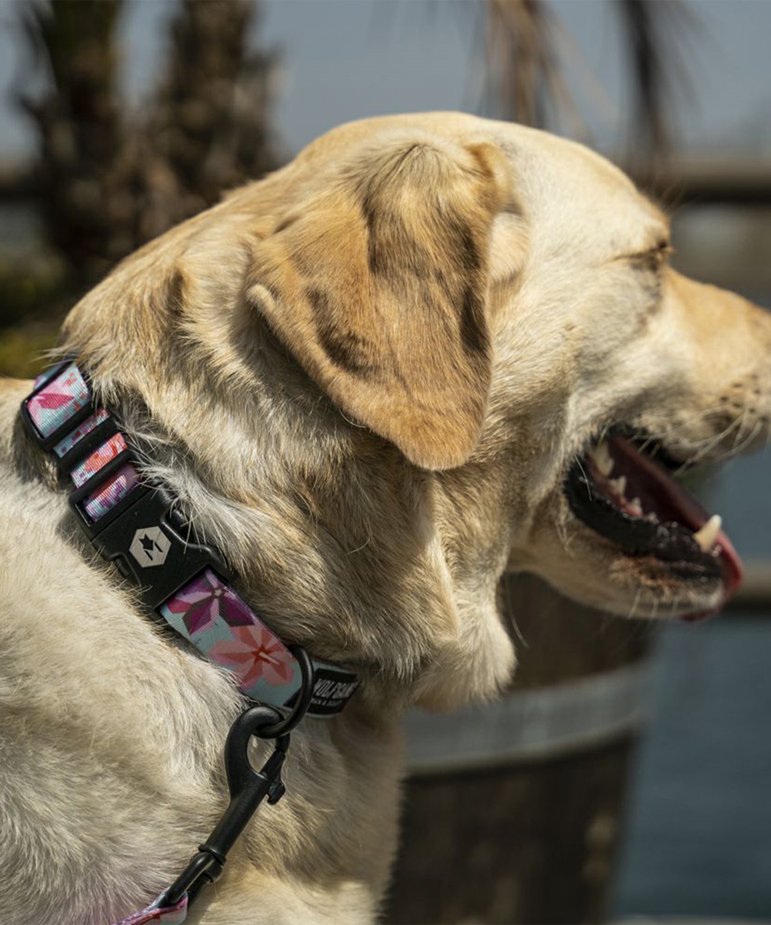 WOLFGANG ウルフギャング 犬用 首輪 DigiFloral Collar Mサイズ 小型犬用 中型犬用 デジフローラル カラー ピンク系 WC-002-96(PK-M)