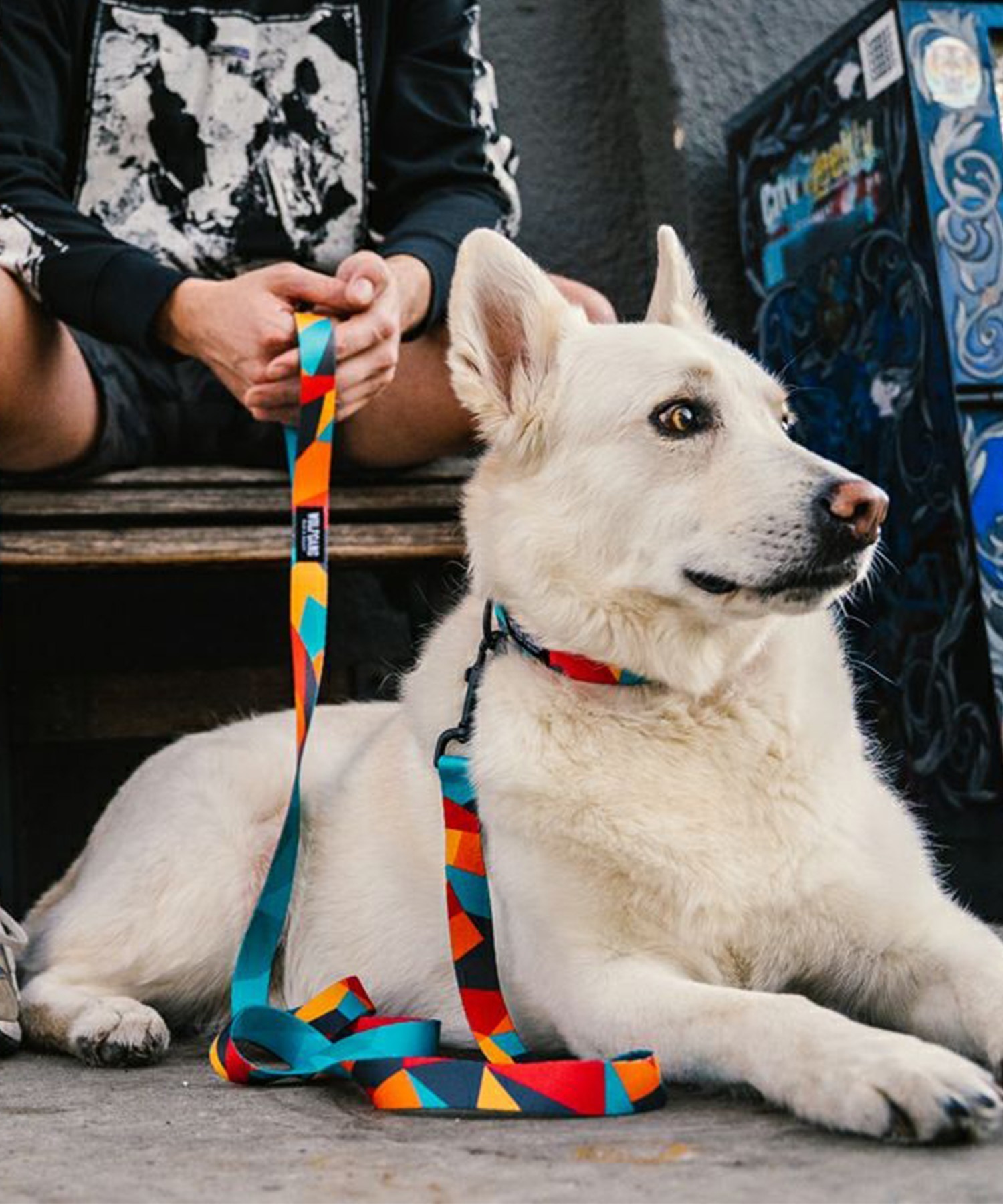 WOLFGANG ウルフギャング 犬用 首輪 ShatterShapes Collar Lサイズ 中型犬用 大型犬用 シャッターシェイプス カラー マルチカラー WC-003-105(MULTI-L)