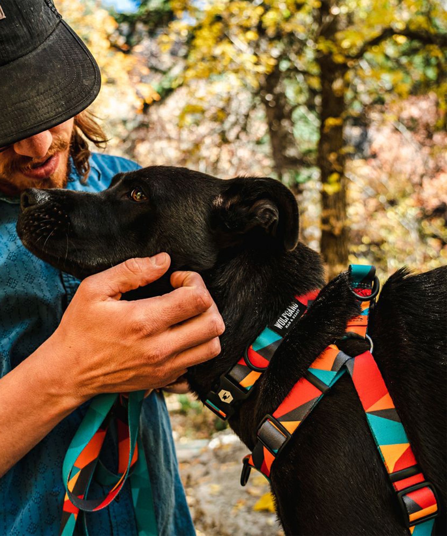 WOLFGANG ウルフギャング 犬用 ハーネス ShatterShapes Harness Mサイズ 小型犬用 中型犬用 胴輪 シャッターシェイプス マルチカラー WH-002-105(MULTI-M)