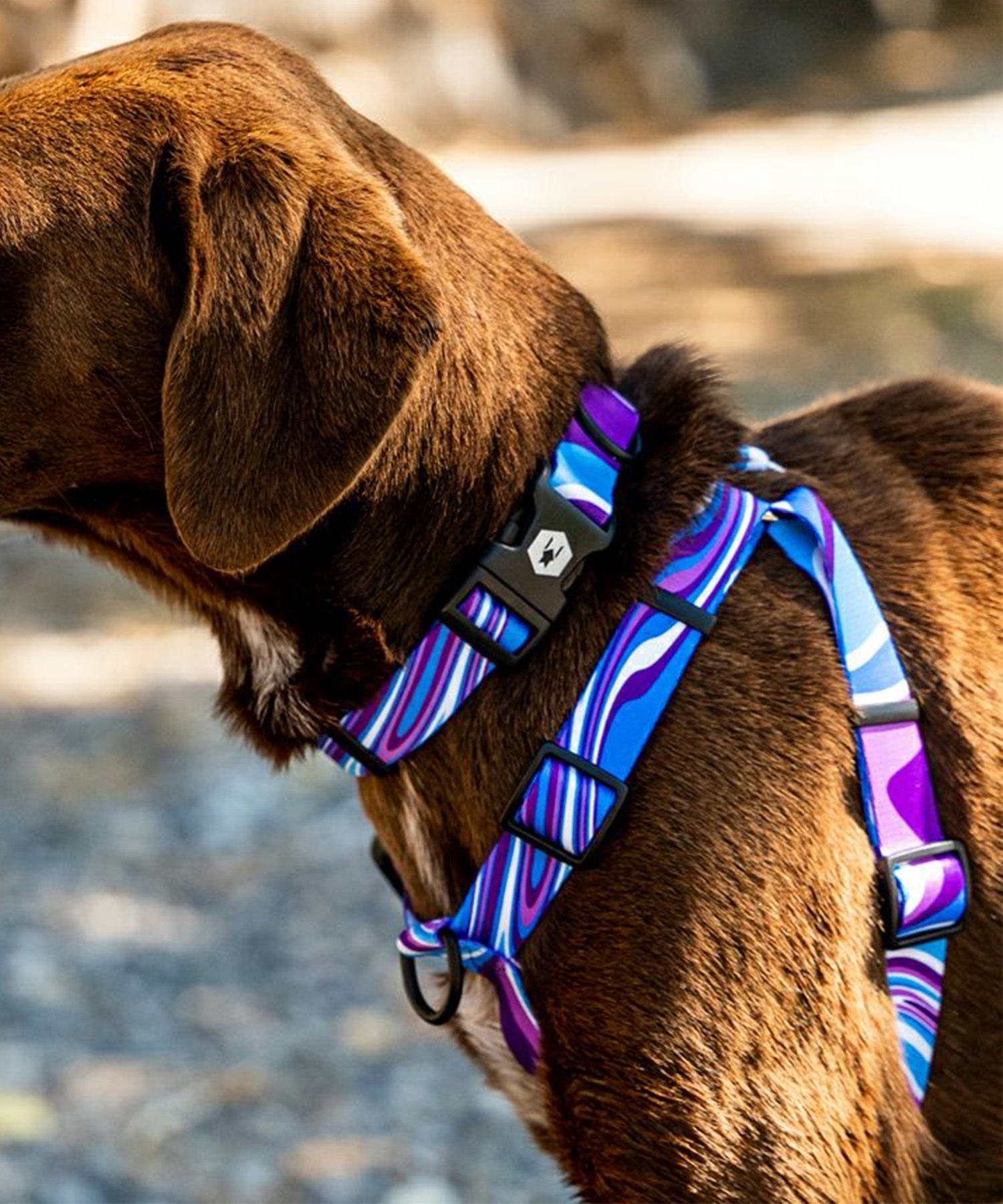 WOLFGANG ウルフギャング 犬用 ハーネス MarbleWave Harness Lサイズ 中型犬用 大型犬用 胴輪 マーブルウェイブ ブルー系 WH-003-102(PU-L)