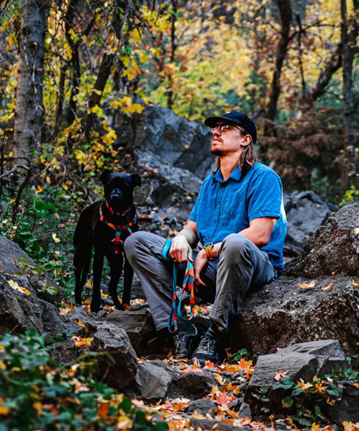 WOLFGANG ウルフギャング 犬用 ハーネス ShatterShapes Harness Lサイズ 中型犬用 大型犬用 胴輪 シャッターシェイプス マルチカラー WH-003-105(MULTI-L)